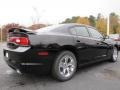 Pitch Black - Charger SE Photo No. 3