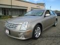 2005 Sand Storm Cadillac STS V8  photo #2