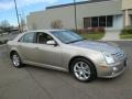 2005 Sand Storm Cadillac STS V8  photo #10