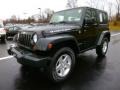 Black - Wrangler Rubicon 4x4 Photo No. 3