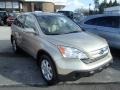 Borrego Beige Metallic - CR-V EX-L 4WD Photo No. 1