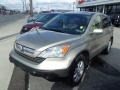 2008 Borrego Beige Metallic Honda CR-V EX-L 4WD  photo #3