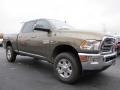 Prairie Pearl Coat 2014 Ram 2500 Big Horn Crew Cab 4x4 Exterior