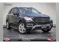 Black - ML 350 4Matic Photo No. 1