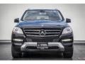 Black - ML 350 4Matic Photo No. 2