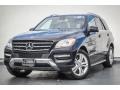 Black - ML 350 4Matic Photo No. 13