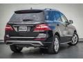 Black - ML 350 4Matic Photo No. 14