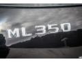 Black - ML 350 4Matic Photo No. 31
