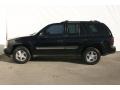 2002 Onyx Black Chevrolet TrailBlazer LS  photo #9