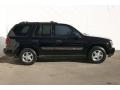 2002 Onyx Black Chevrolet TrailBlazer LS  photo #11