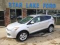 2014 Ingot Silver Ford Escape SE 1.6L EcoBoost 4WD  photo #1