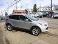 2014 Ingot Silver Ford Escape SE 1.6L EcoBoost 4WD  photo #4