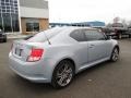 Classic Silver Metallic - tC  Photo No. 27