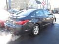 Pacific Blue Pearl - Sonata GLS Photo No. 7