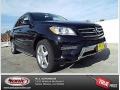 Black - ML 350 Photo No. 1