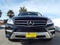 Black - ML 350 Photo No. 2