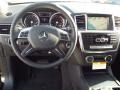 Black - ML 350 Photo No. 9