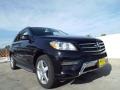 Black - ML 350 Photo No. 11