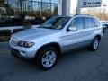 Titanium Silver Metallic 2006 BMW X5 4.4i