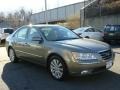 2009 Willow Gray Hyundai Sonata SE  photo #3