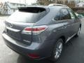 2014 Nebula Gray Pearl Lexus RX 350 AWD  photo #4