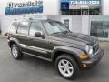 Dark Khaki Pearl 2005 Jeep Liberty Limited 4x4