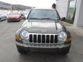 2005 Dark Khaki Pearl Jeep Liberty Limited 4x4  photo #4