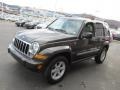 2005 Dark Khaki Pearl Jeep Liberty Limited 4x4  photo #5