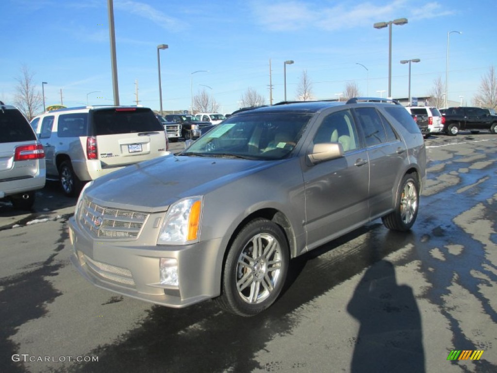 2008 SRX 4 V6 AWD - Radiant Bronze / Cashmere/Cocoa photo #2