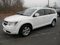 Stone White 2009 Dodge Journey SXT