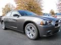 Granite Crystal Metallic - Charger SE Photo No. 4