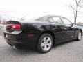 Pitch Black - Charger SE Photo No. 3