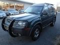 Alpine Green Metallic - Xterra SE V6 4x4 Photo No. 3