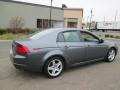 Anthracite Metallic - TL 3.2 Photo No. 8
