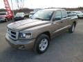 2010 Mineral Gray Metallic Dodge Dakota Big Horn Extended Cab 4x4  photo #3