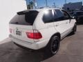 Alpine White - X5 3.0i Photo No. 8
