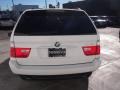 Alpine White - X5 3.0i Photo No. 9
