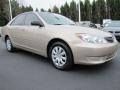 Desert Sand Mica - Camry XLE Photo No. 4