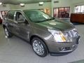 Terra Mocha Metallic - SRX Performance Photo No. 1