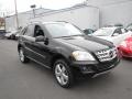 Black - ML 350 4Matic Photo No. 1