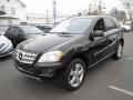 Black - ML 350 4Matic Photo No. 3