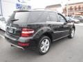 Black - ML 350 4Matic Photo No. 6