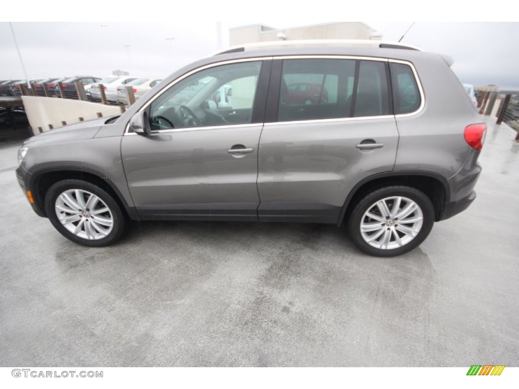 Alpine Grey Metallic 2009 Volkswagen Tiguan SE Exterior Photo #88300713