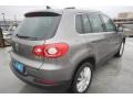 Alpine Grey Metallic - Tiguan SE Photo No. 6