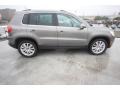 Alpine Grey Metallic - Tiguan SE Photo No. 8