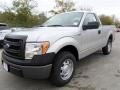 Ingot Silver Metallic - F150 XL Regular Cab Photo No. 1