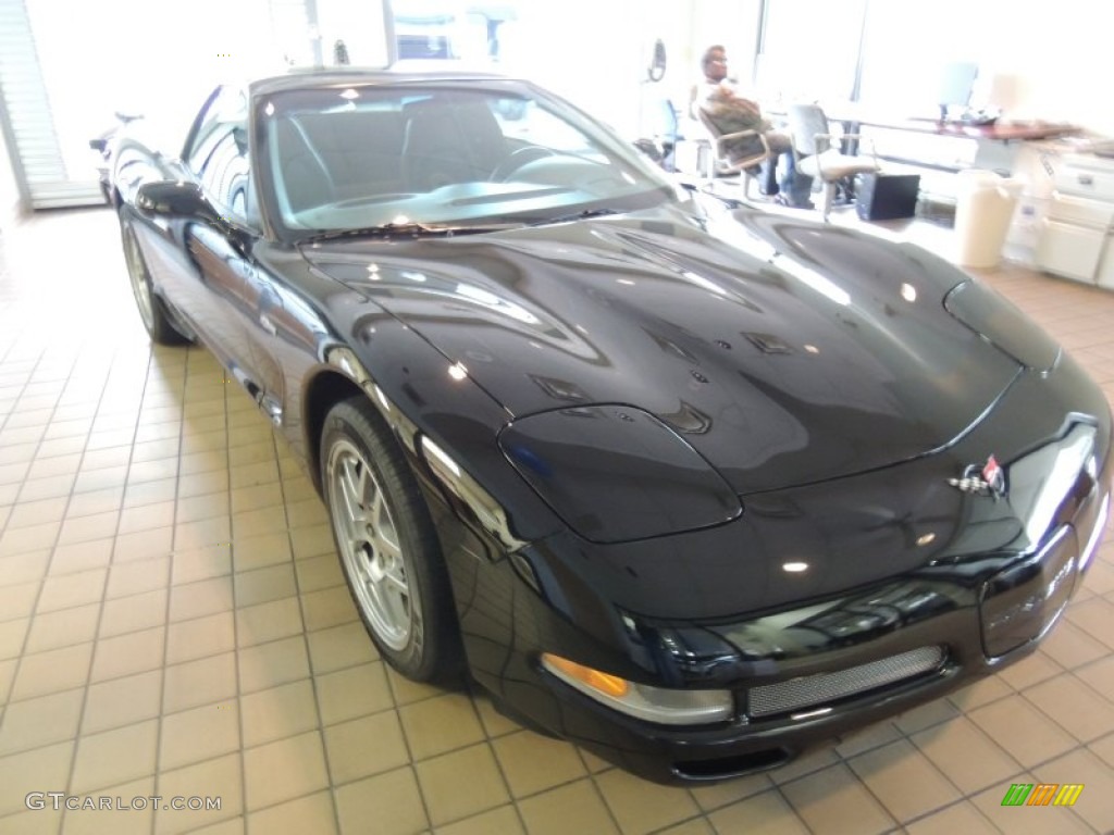 2002 Corvette Z06 - Black / Black photo #1