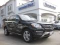 Black - ML 350 4Matic Photo No. 1