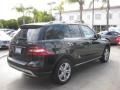 Black - ML 350 4Matic Photo No. 2
