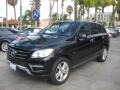 Black - ML 350 4Matic Photo No. 5